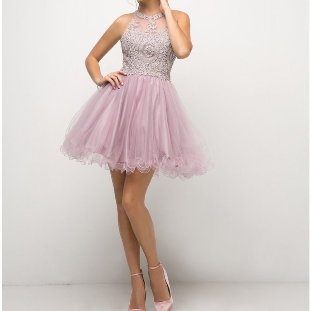 Lace Bodice A-Line Shape Short Dress CDUJ0119